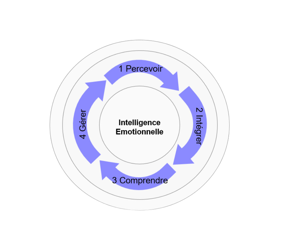 Schéma de l'intelligence émotionnelle